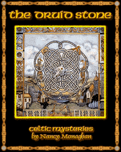 The Druid Stone Book Cover